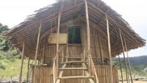 Iwol Tampak Dpn