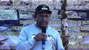 bupati iwur